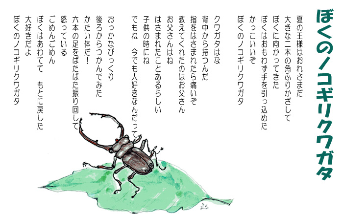 ぼくのノコギリクワガタ