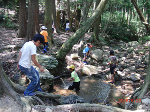 森の沢で遊ぶ