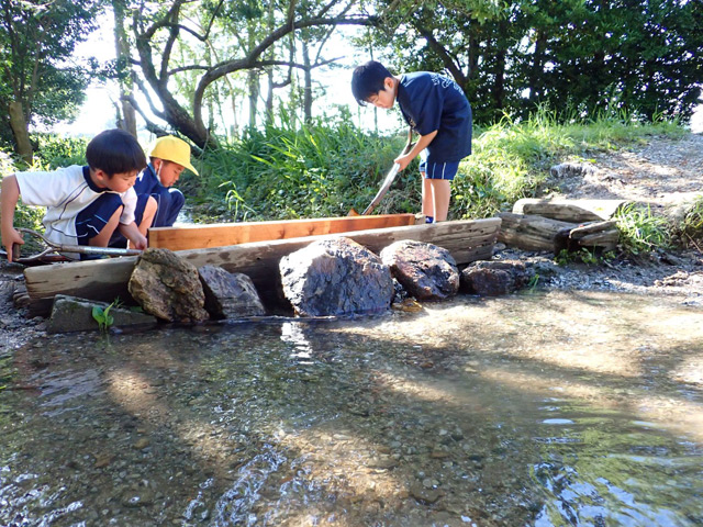 自然の水