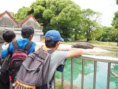 自転車を連ねて動物園へ