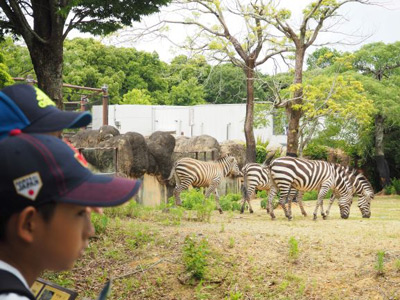 自転車を連ねて動物園へ